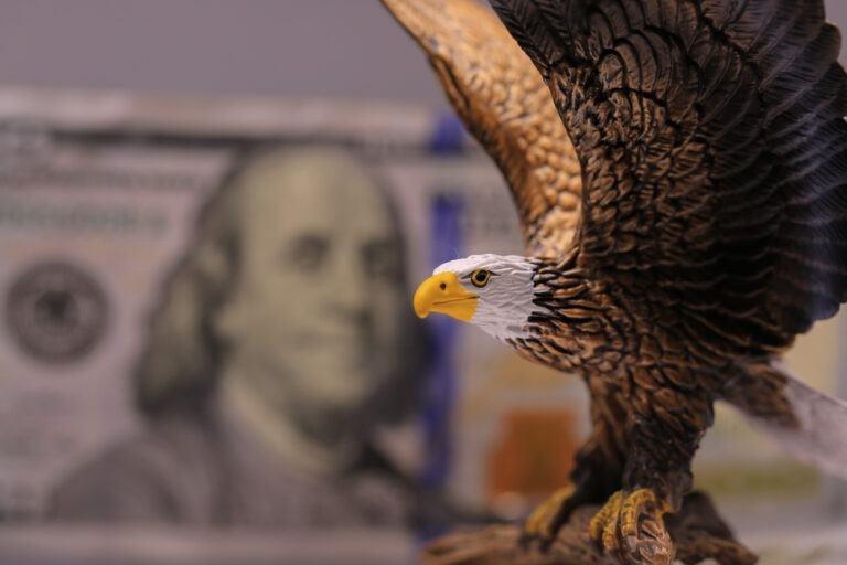 Bald Eagle and US dollar